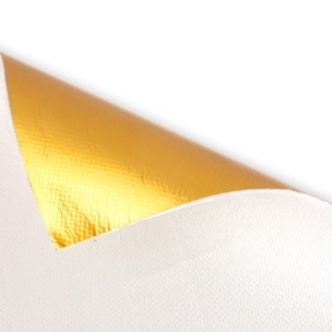 Adhesive Gold Reflective Heat Blanket